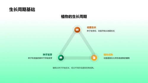 植物生长实验教学PPT模板