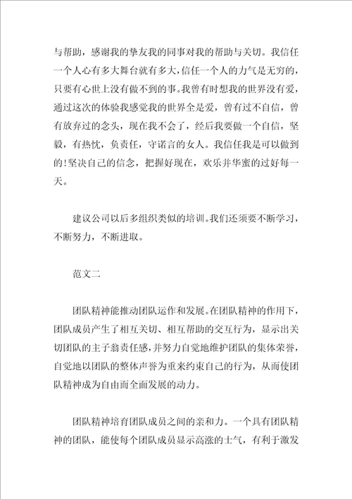 团队合作心得体会简短 团队精神培训心得精编例文