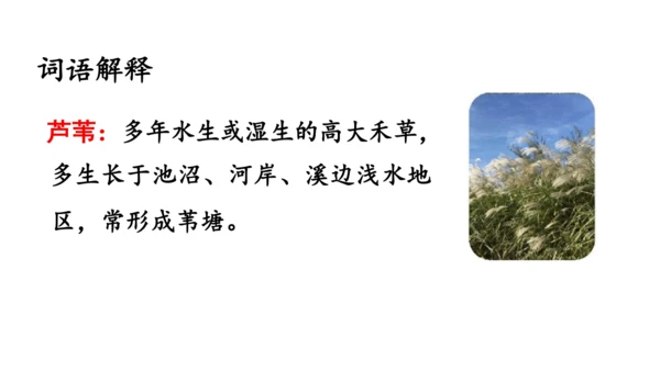 3《现代诗二首》课件