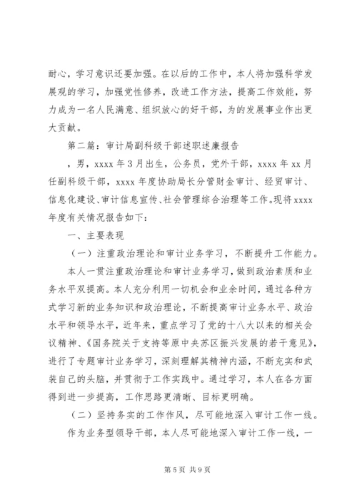 总审计师述职述廉报告.docx