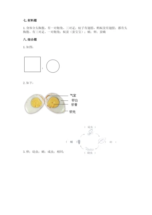 教科版三年级下册科学期末测试卷带答案（预热题）.docx