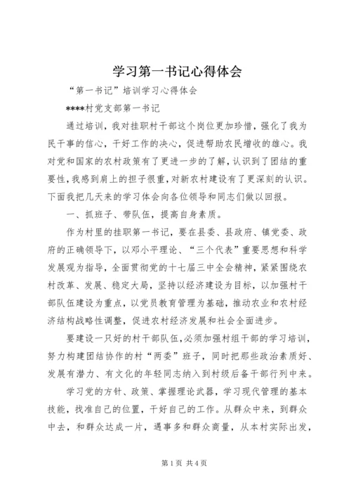 学习第一书记心得体会 (7).docx