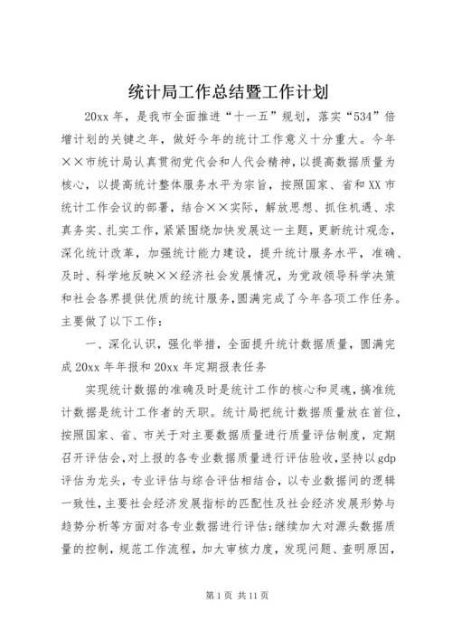 统计局工作总结暨工作计划.docx