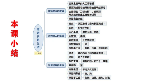 统编七年级上第2课 原始农耕生活  课件