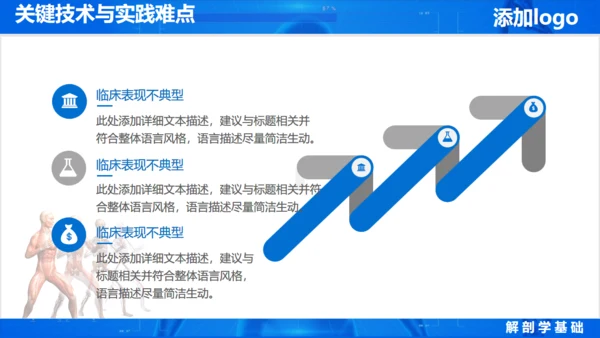 人体奥秘医学解剖学学术论文通用PPT模版