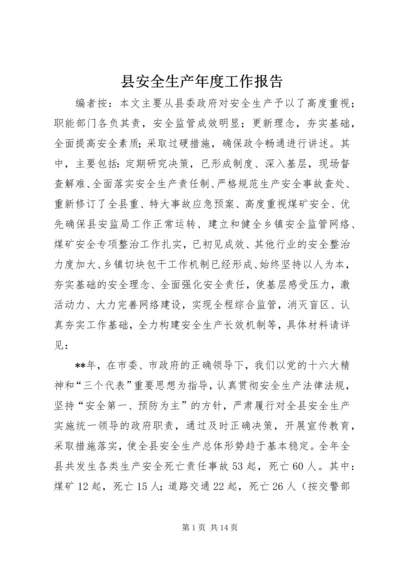 县安全生产年度工作报告.docx