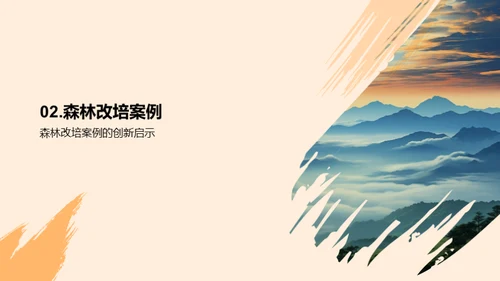 森林改培：旅游业新动力