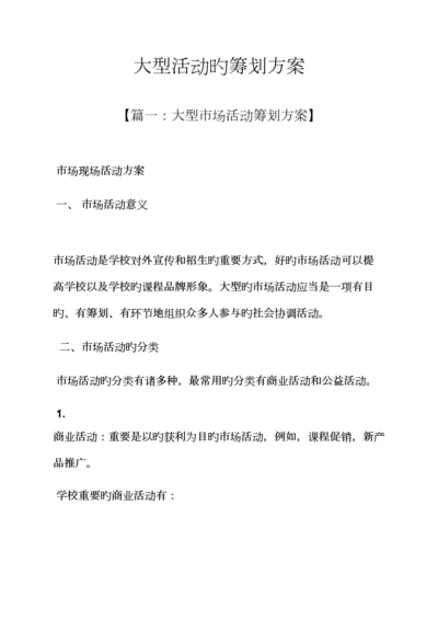 大型活动的专题策划专题方案.docx