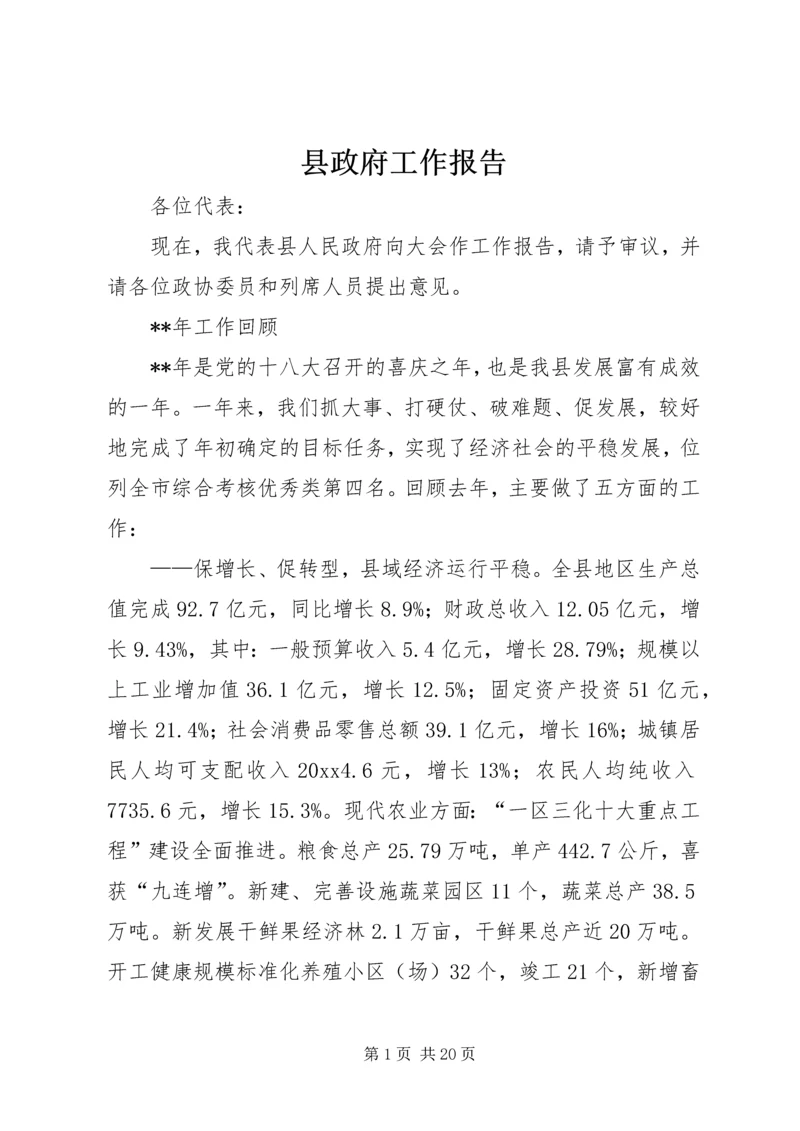 县政府工作报告 (23).docx