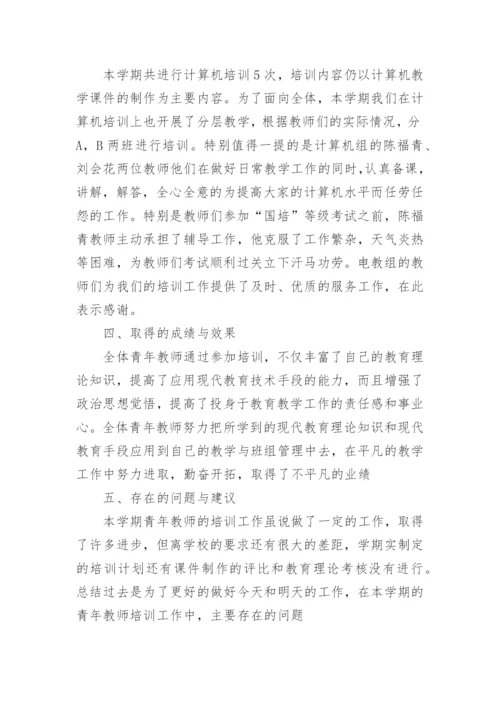 个人指导培养青年教师总结.docx