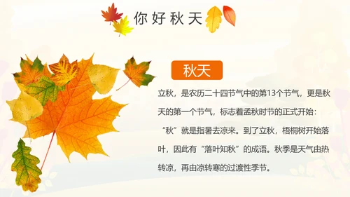 秋天来了银杏树旅游日记秋风季动态PPT