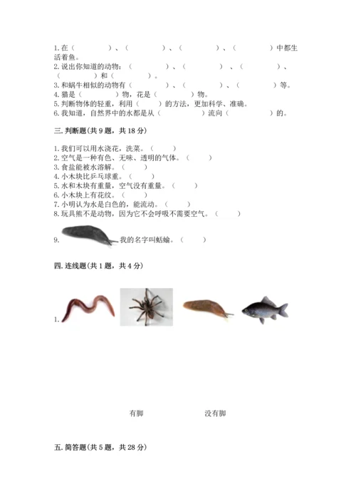 教科版一年级下册科学期末测试卷（全优）word版.docx