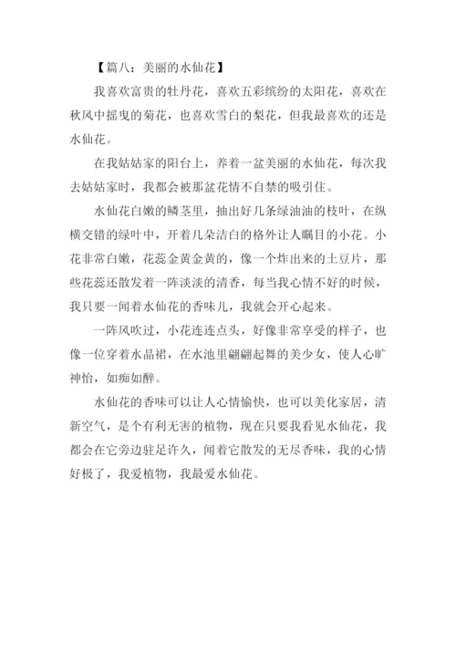 水仙花作文350字.docx
