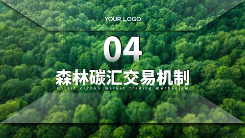绿色清新森林生态环境保护调研汇报PPT模板