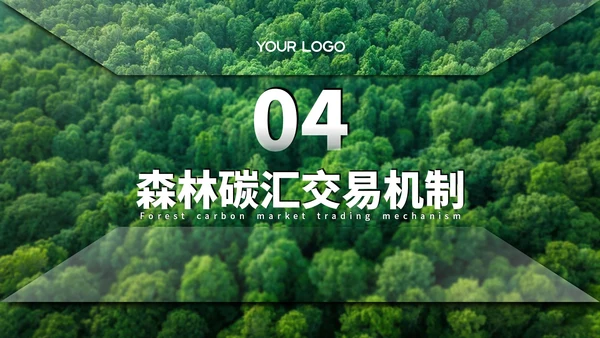 绿色清新森林生态环境保护调研汇报PPT模板