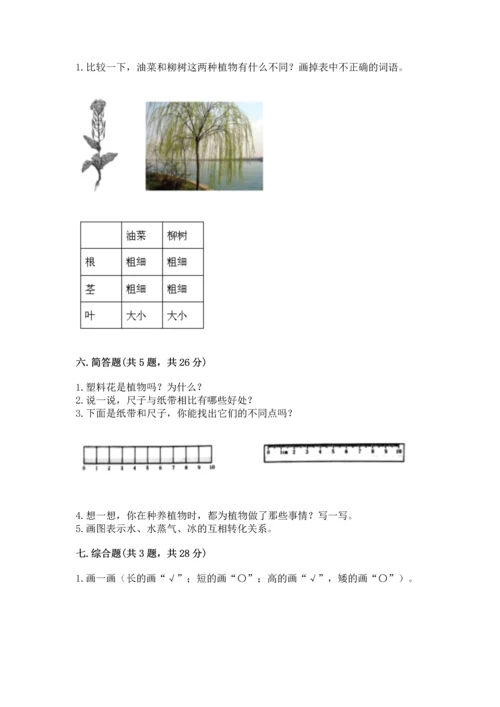 教科版科学一年级上册期末测试卷附答案【突破训练】.docx