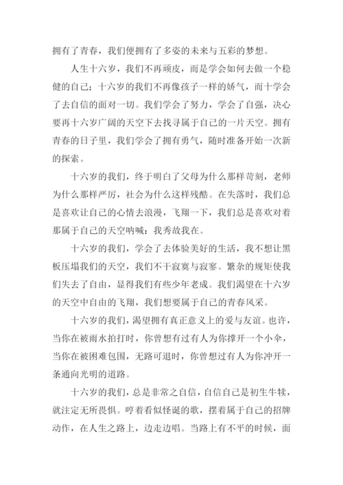 16岁的天空作文800字.docx