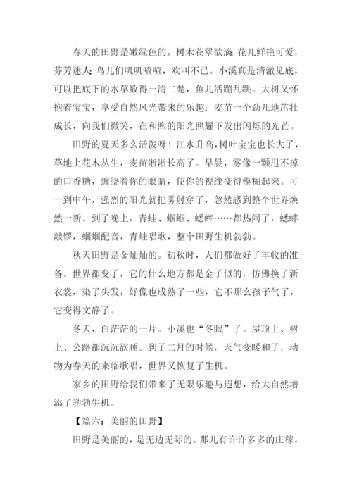 美丽的田野作文450字.docx