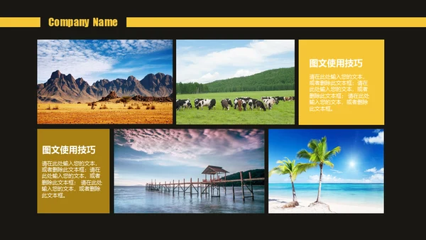 公司介绍企业产品宣传通用PPT模板