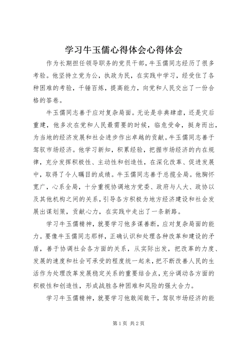 学习牛玉儒心得体会心得体会.docx