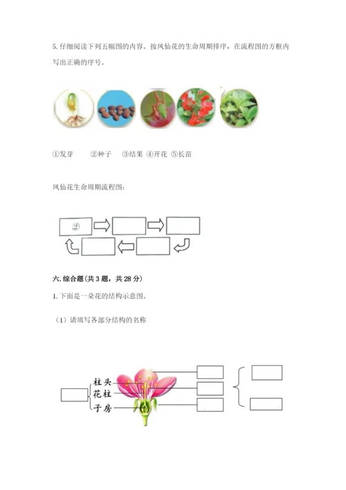 教科版科学四年级下册第一单元《植物的生长变化》测试卷（word）.docx