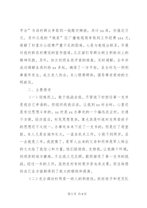 村党支部书记工作总结范文.docx