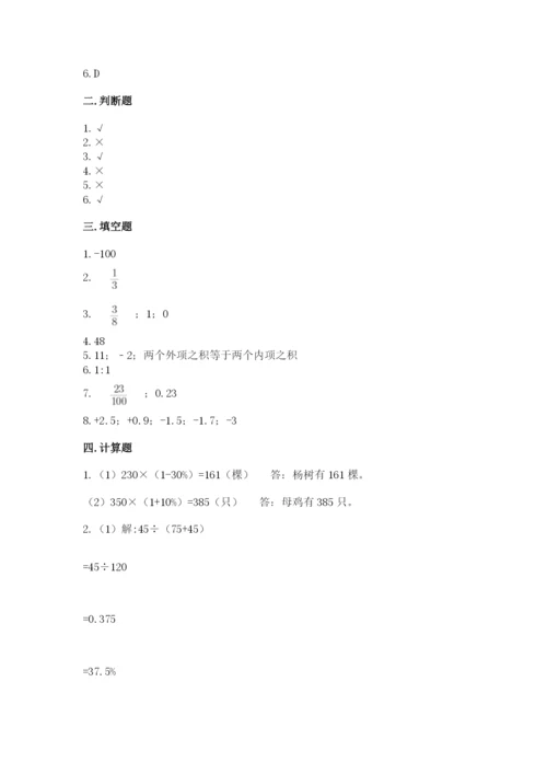 田阳县六年级下册数学期末测试卷必考题.docx