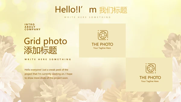 金色唯美医美整形发布会工作总结汇报动态PPT模板