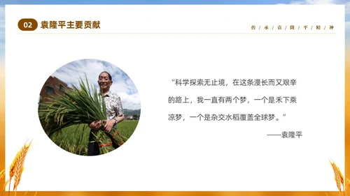 黄色实拍稻穗522纪念杂交水稻之父袁隆平主题班会PPT纪念袁隆平
