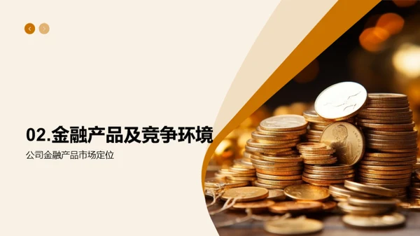 双十一金融产品策略