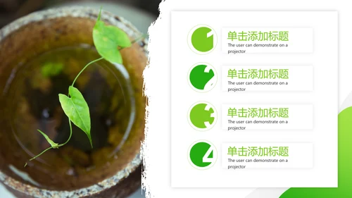 唯美绿色植物生长发芽敬畏生命PPT模板