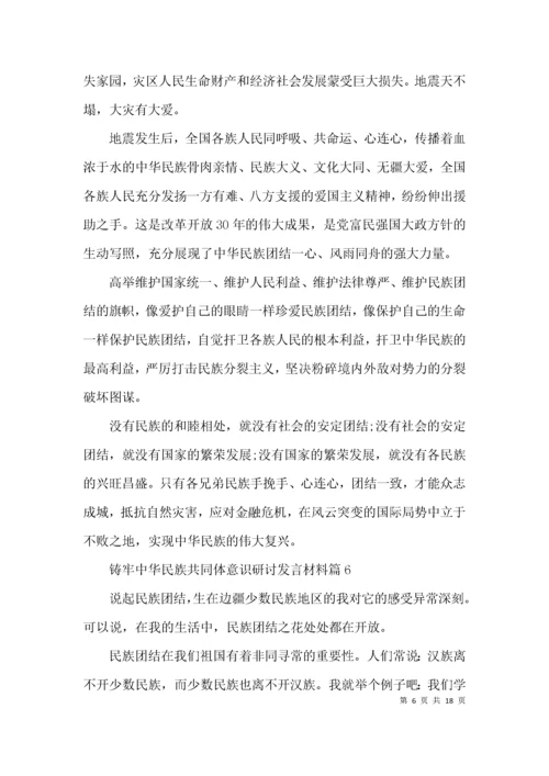 （精选）铸牢中华民族共同体意识研讨发言材料范文(通用11篇).docx