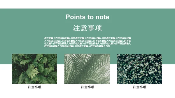 绿色简约风旅游出行安排通用PPT模板