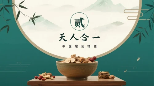 绿色高级中国风中医中药传统文化科普PPT模板