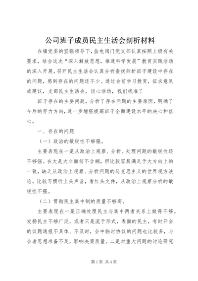 公司班子成员民主生活会剖析材料 (3).docx