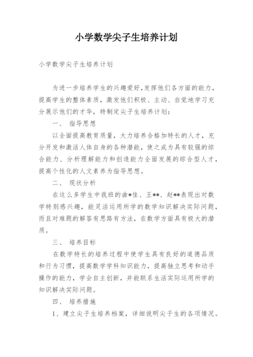 小学数学尖子生培养计划.docx