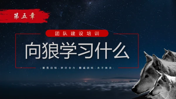 如何打造狼性团队培训狼文件通用PPT模板