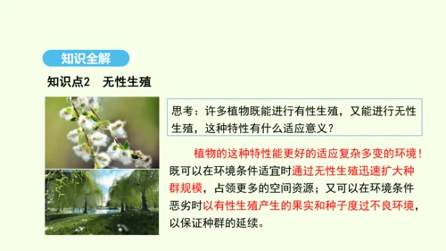 7.1.1植物的生殖课件-人教版生物八年级下册(共33张PPT)