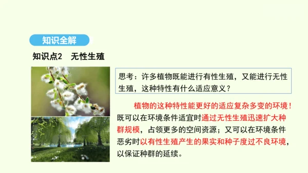 7.1.1植物的生殖课件-人教版生物八年级下册(共33张PPT)