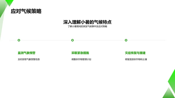 小暑气候影响农业策略