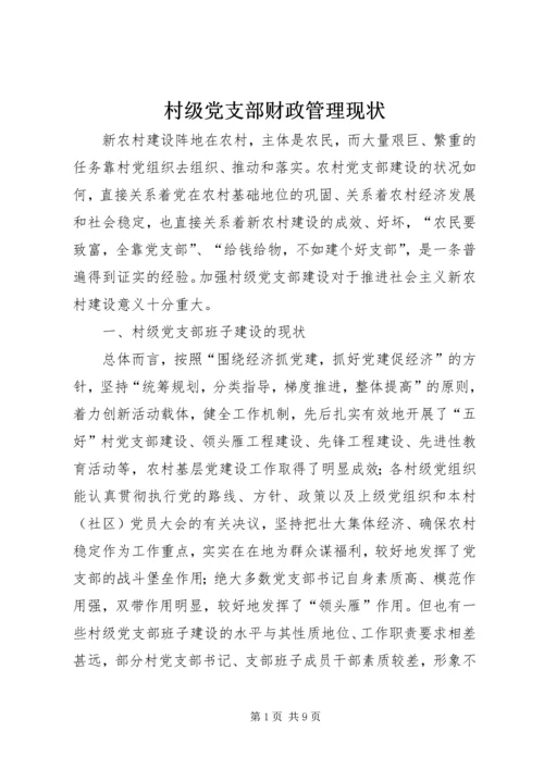 村级党支部财政管理现状.docx