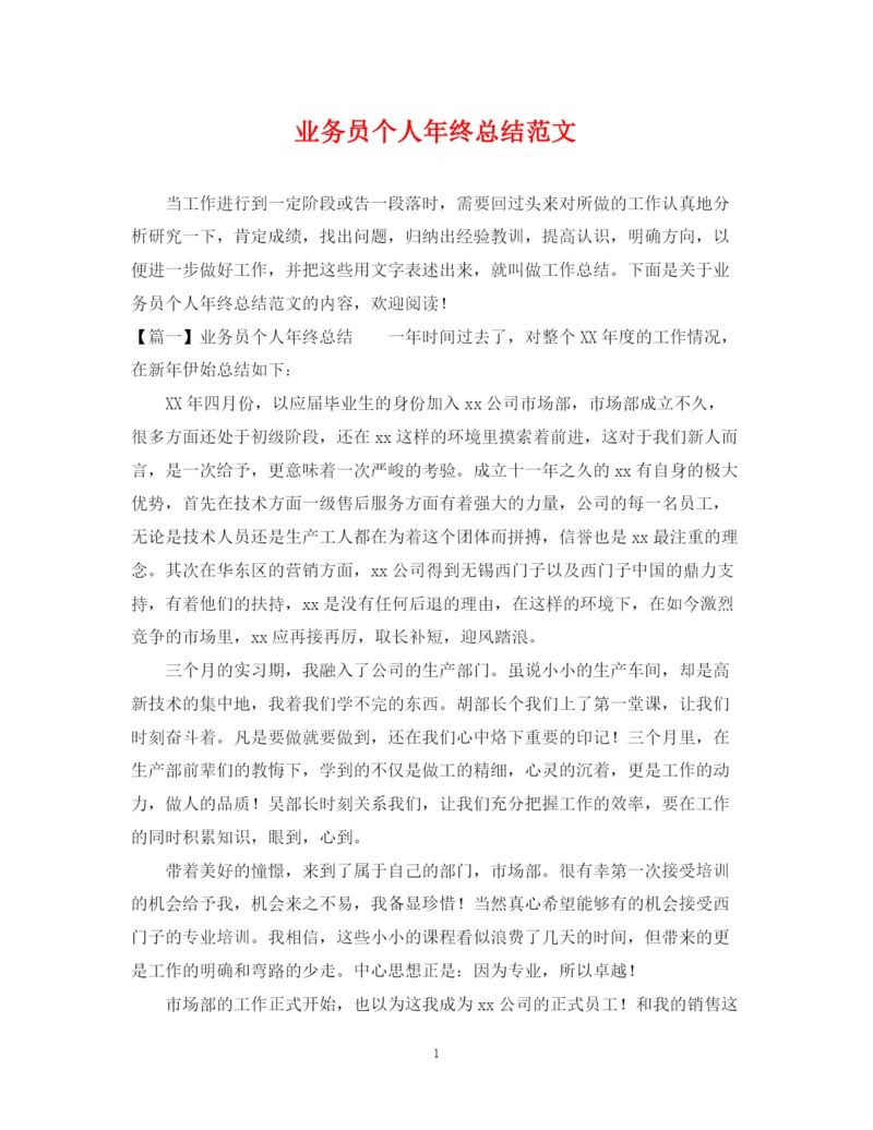 精编之业务员个人年终总结范文2.docx