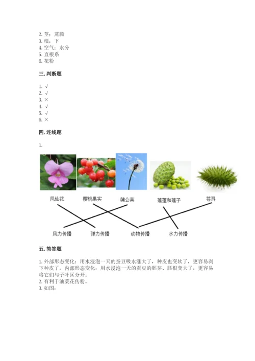 科学四年级下册第一单元植物的生长变化测试卷含完整答案（名校卷）.docx