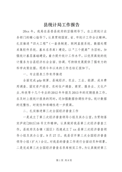 县统计局工作报告 (4).docx