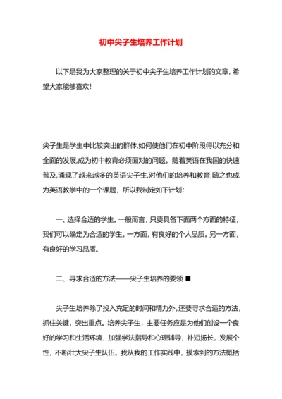 初中尖子生培养工作计划.docx