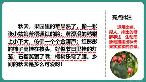 第一单元 写作 热爱写作，学会观察 课件-【课堂无忧】新课标同步核心素养课堂
