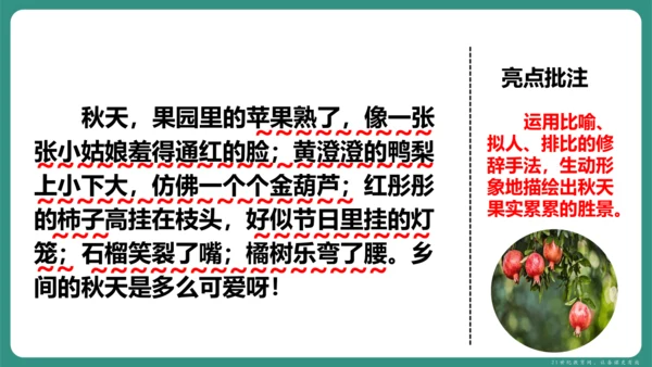 第一单元 写作 热爱写作，学会观察 课件-【课堂无忧】新课标同步核心素养课堂