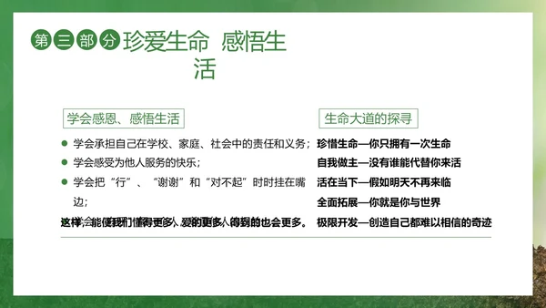 2023年生命教育认识生命珍爱生命安全教育主题班会PPT课件