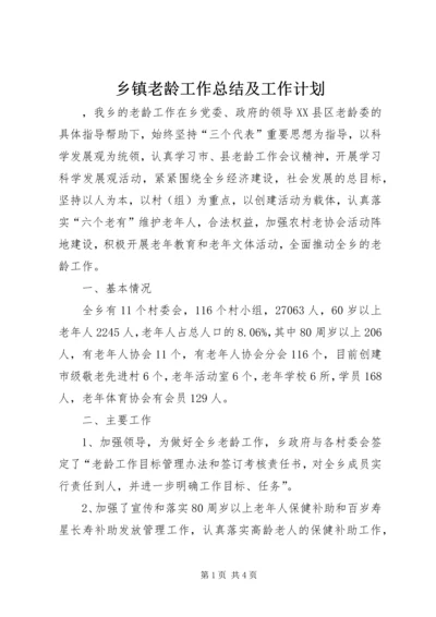 乡镇老龄工作总结及工作计划.docx