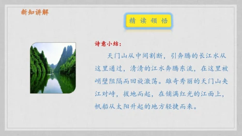 17课《古诗三首》《望天门山》《饮湖上初晴后雨》   课件